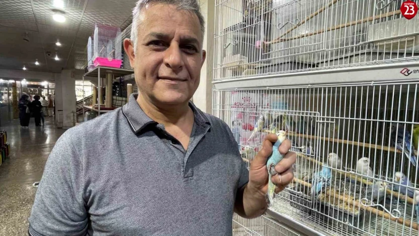 Elazığ'da muhabbet kuşlarına yoğun ilgi