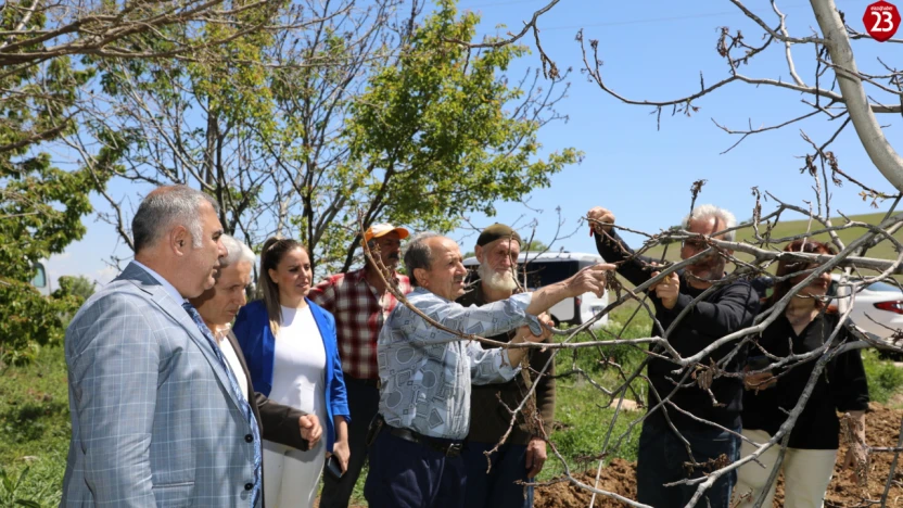Elazığ'da Zirai Don Nedeniyle Zarar Gören Meyve Bahçeleri İncelendi