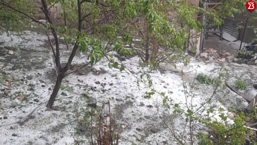 Elazığ'ın Arıcak İlçesinde Dolu Yağışı Hayatı Felç Etti