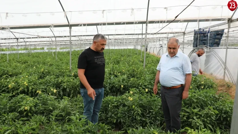 Tarım İl Müdürü Kıraç Köyü'nde Üretici Ziyaretinde Bulundu