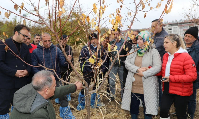 Elazığ'da 'Meyve Ağaçlarında Budama ve Aşılama Teknikleri' Eğitimi Tamamlandı