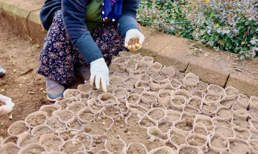 Elazığ Orman Bölge Müdürlüğü'nden Sıfır Atıkla Doğaya Dost Fidan Üretimi