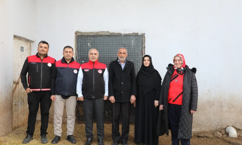 Tarımda Kadın Gücü: Semiha Erginöz'ün Başarılı Hayvancılık Hikâyesi